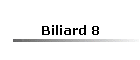 Biliard 8